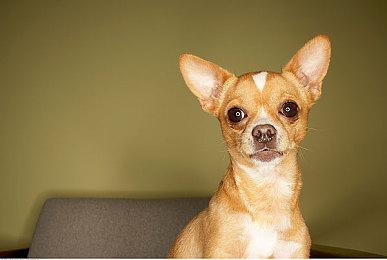 腾讯《黑色沙漠》手游国服今日停运：运营不到3年